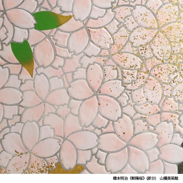 お昼にご紹介した橋本明治《朝陽桜》(#山種美術館)。花びらは正面向き