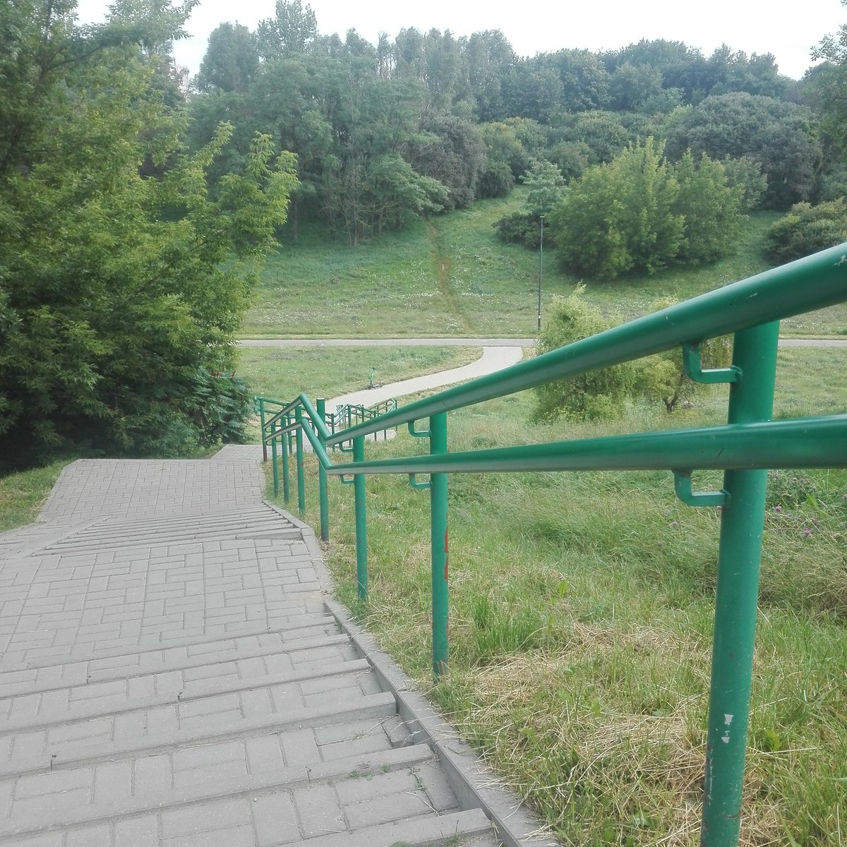 haopledis's tweet photo. running day 2 https://t.co/K1xWLMPtWH