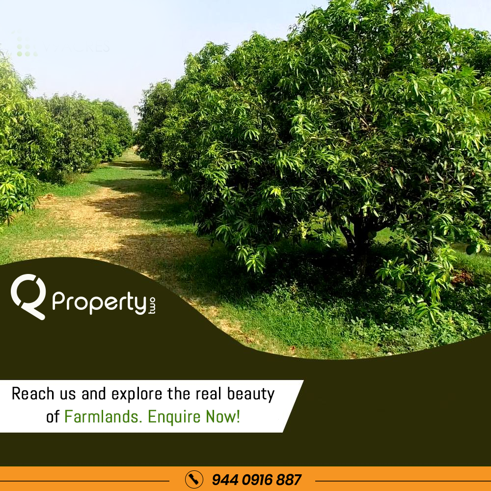 Property2sales's tweet photo. Low investment and high appreciation on farmlands located in Telangana. To book a plot or to know more details contact us at +91 9440916887.
#RealEstate #FarmLands #Hyderabad #LowInvestments #HighReturns #IndividualLands #Farming #SecuredLife #TopClassAmenities #NoMediators https://t.co/KClP9eGY1U