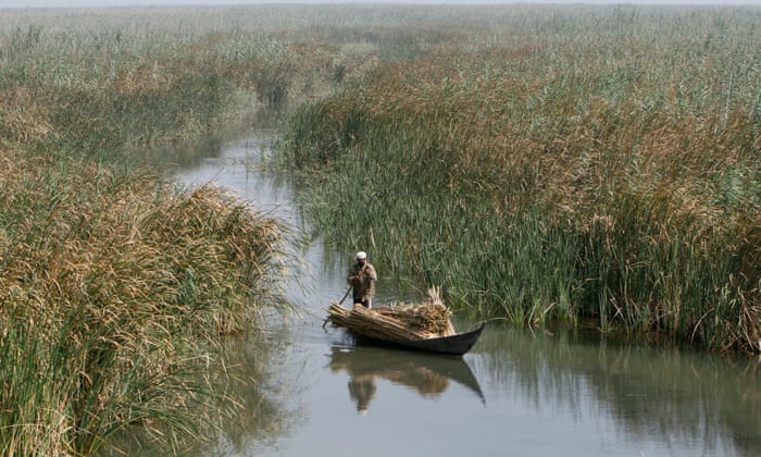 The Drying of Mesopotamia’s Marshes // Thread: