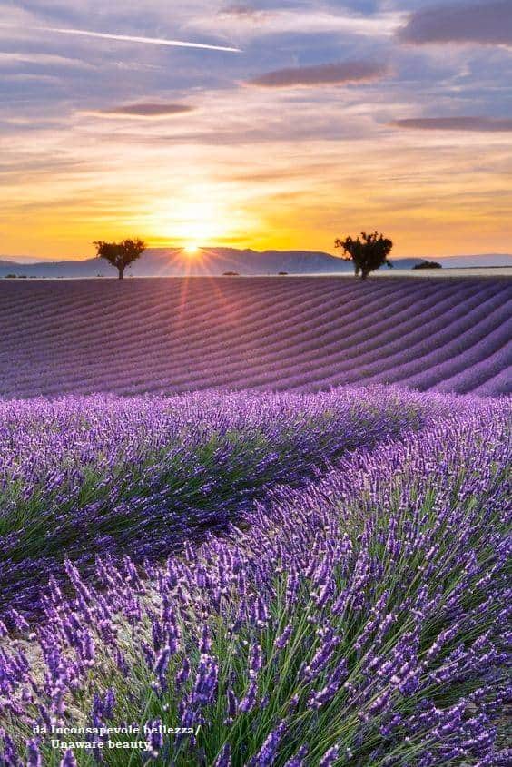 Ciro28812809's tweet photo. @SoglianiC Buongiorno e buon giovedì a te Cri☕🌞 https://t.co/j1XQ4WYlEI