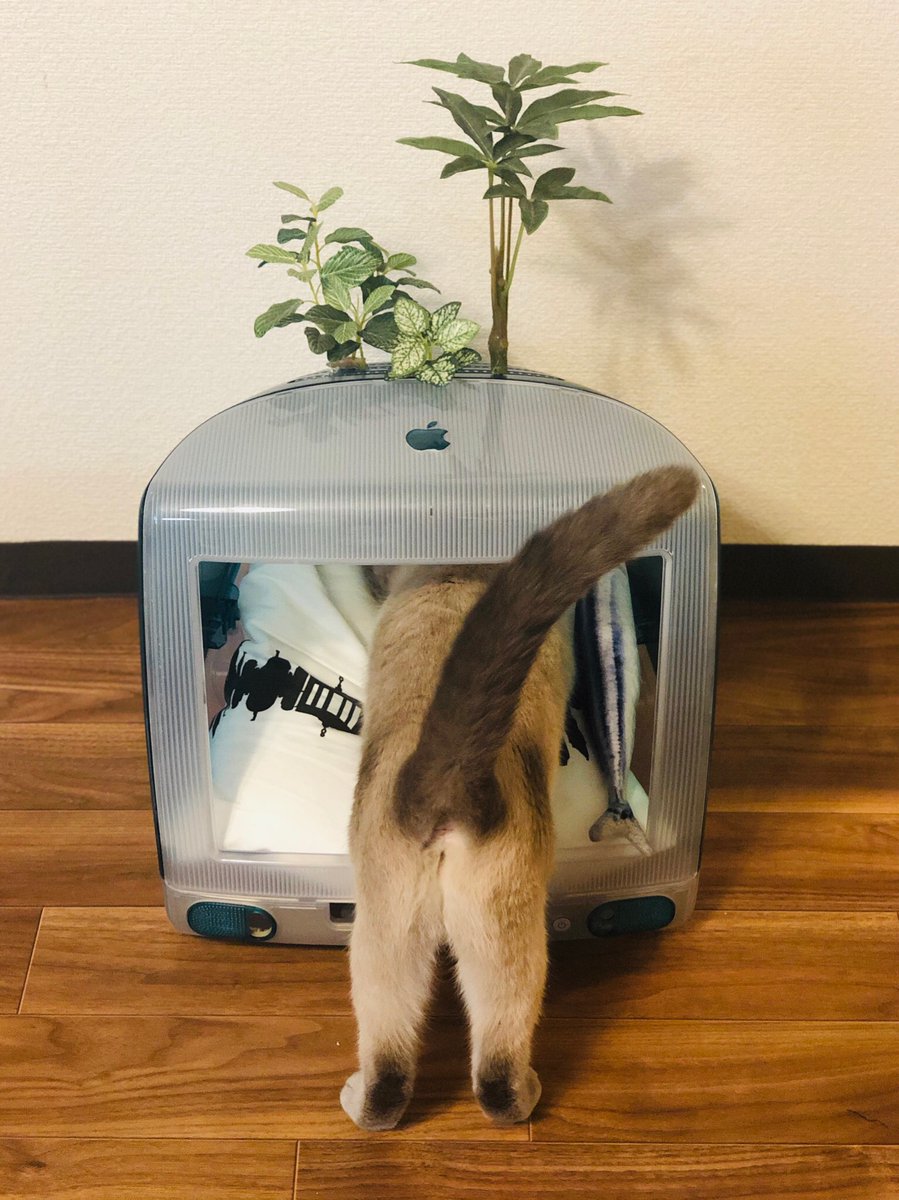 [圖]