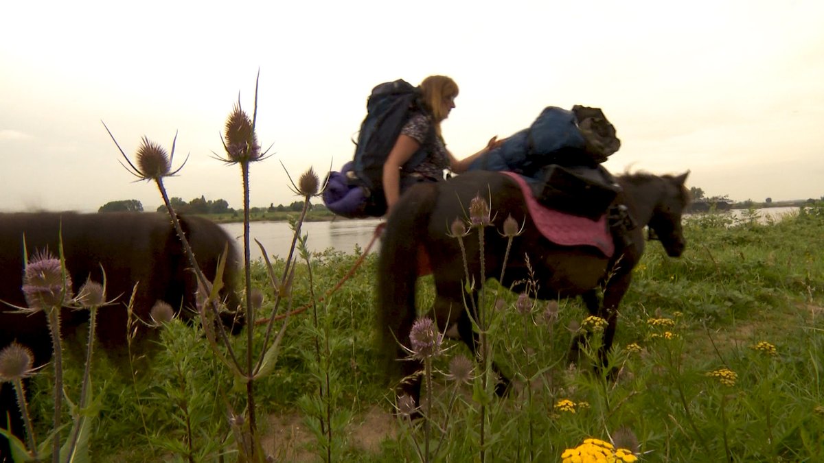 Mariëlle loopt de alternatieve Vierdaagse met haar pony's gld.nl/aigd