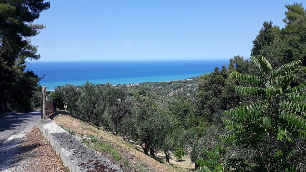 DanielleWouter2's tweet image. Mon petit coin de paradis depuis 20 ans