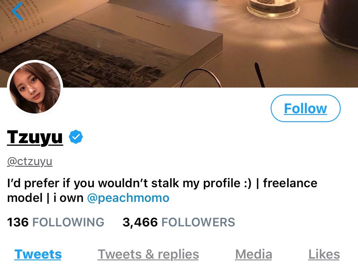 Chou Tzuyu-She works as a freelance model-also gives very good advice-also is a reliable friend-has a relationship with Momo!