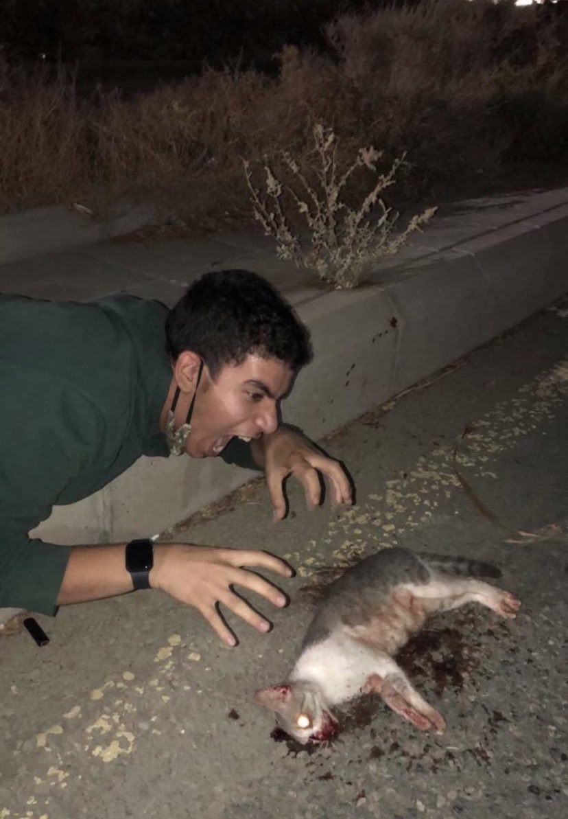 زيادوف الهلالي ™️ tweet media