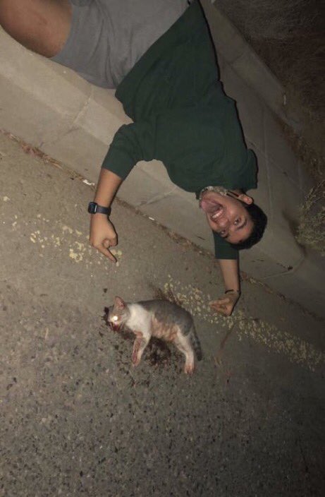 زيادوف الهلالي ™️ tweet media