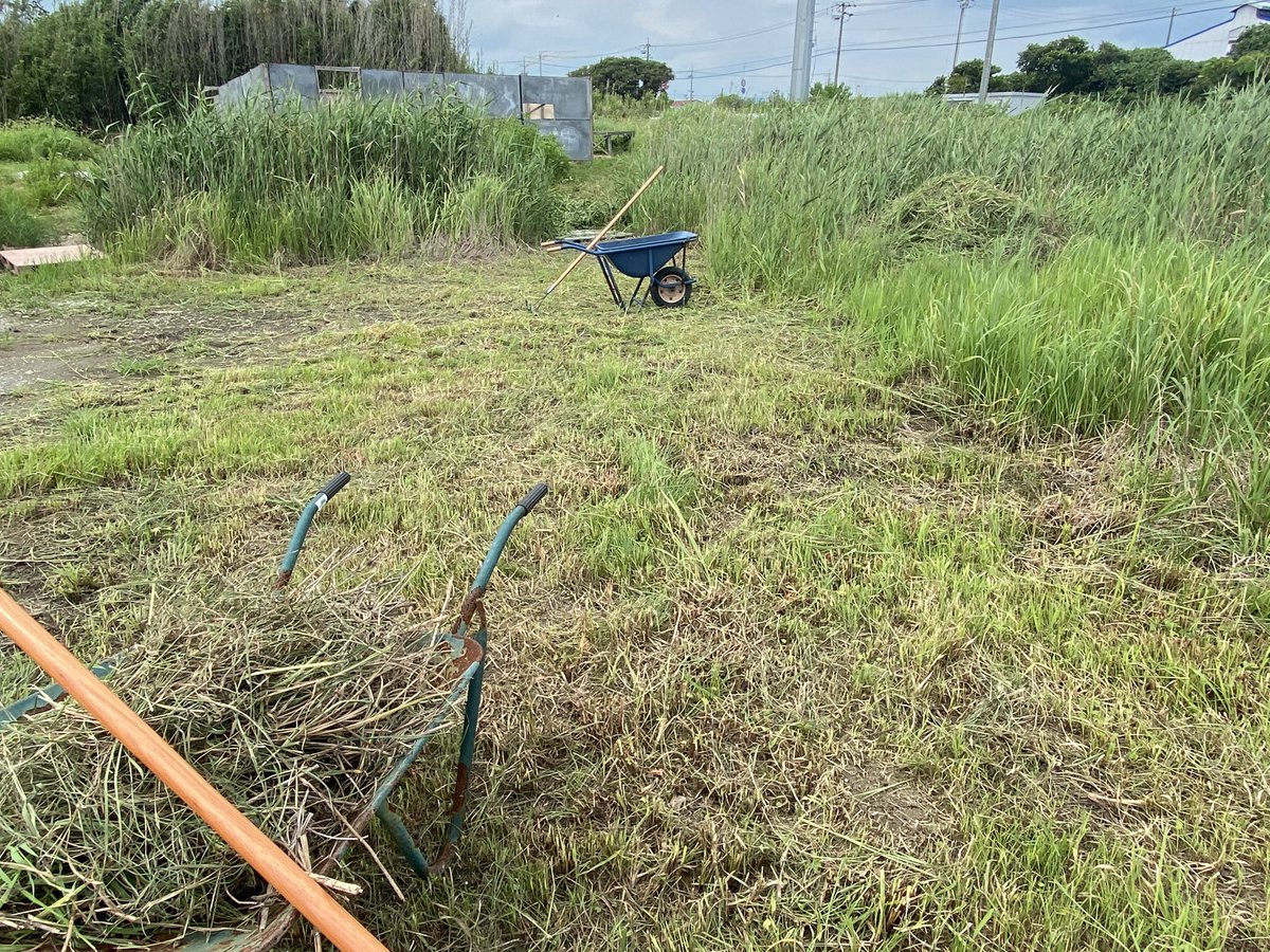 CSDFIELD2's tweet photo. 草です、草、草集め🌱
意外と大変なんだなって思いました。
腕の焼けてるところと焼けてないところが激しいので焼きます💪 https://t.co/fLwzmwXYqe