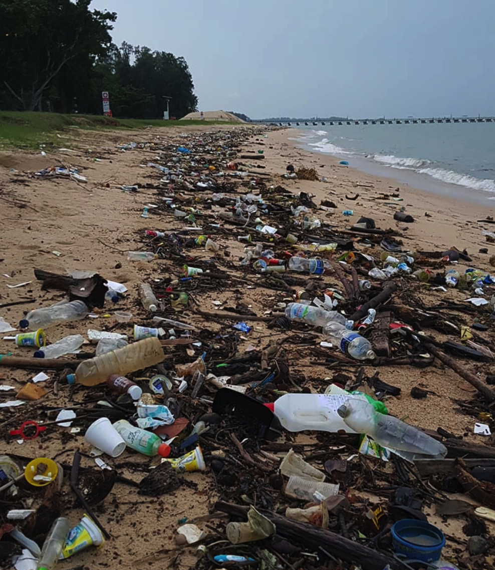 sivasothi's tweet photo. Glenn van Zutphen &amp; Neil Humphreys on Money FM89.3 asked about the phenomenal load of marine trash on the shores of East Coast Park; see Glenn's photo below  [recording of the chat on Sat 11 Jul 2020] https://t.co/Zyb43TGcQK @coastalcleanup https://t.co/G9diRwsdvK