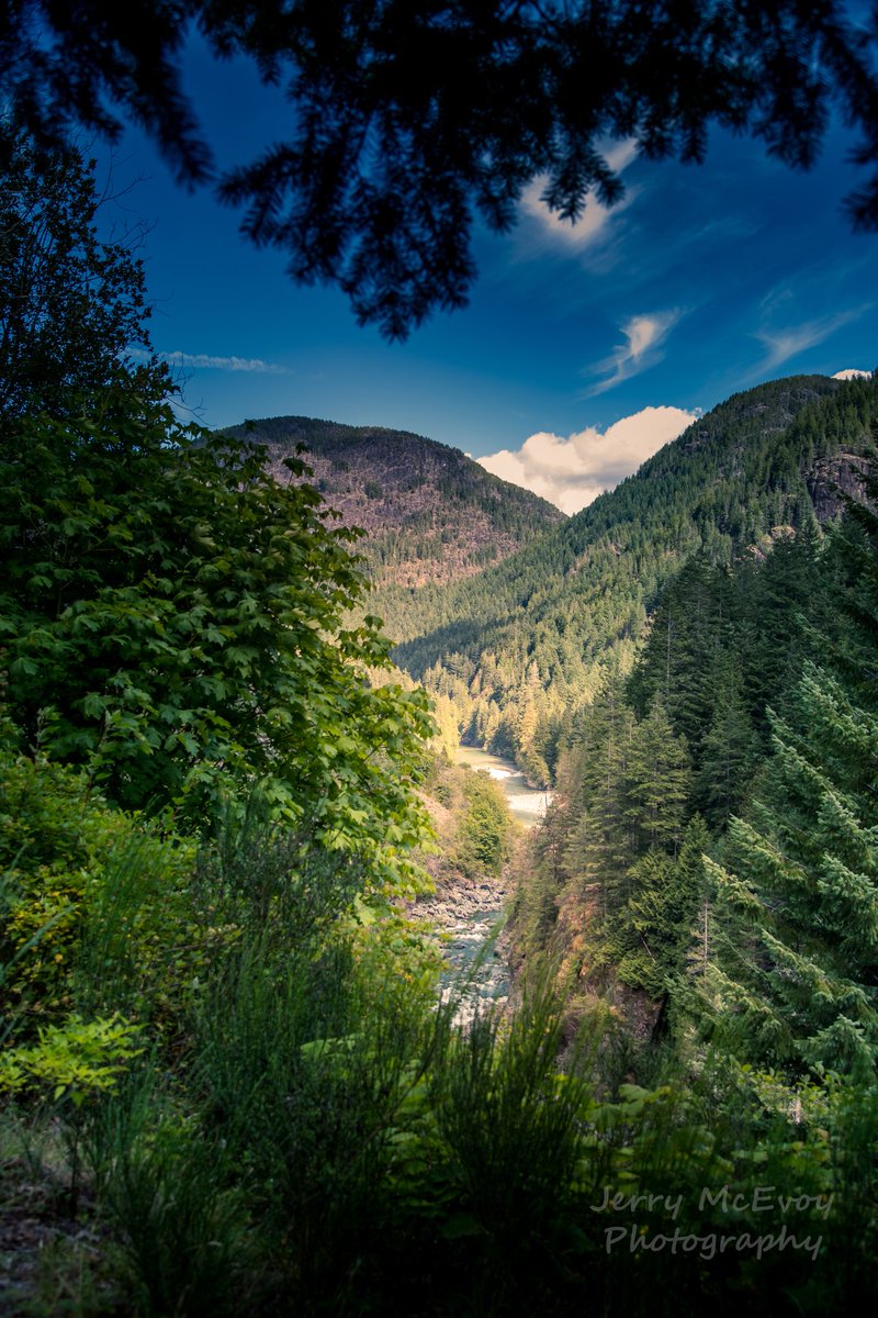 VicBCPhoto's tweet photo. Taken near Gold River on Vancouver Island, what a beautiful day this was. #vancouverisland #goldriver #scenic #jerrymcevoyphotography #victoriaphotographer #photooftheday https://t.co/QC09FQ3If1