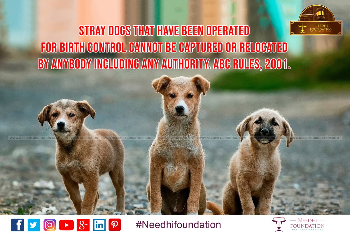 Needhi Foundation on Twitter: Needhi Foundation on Twitter: