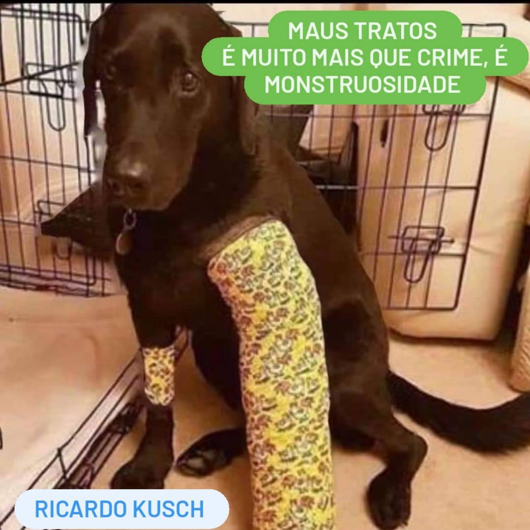 RicardoKusch's tweet photo. https://t.co/aIvB6i3GUI