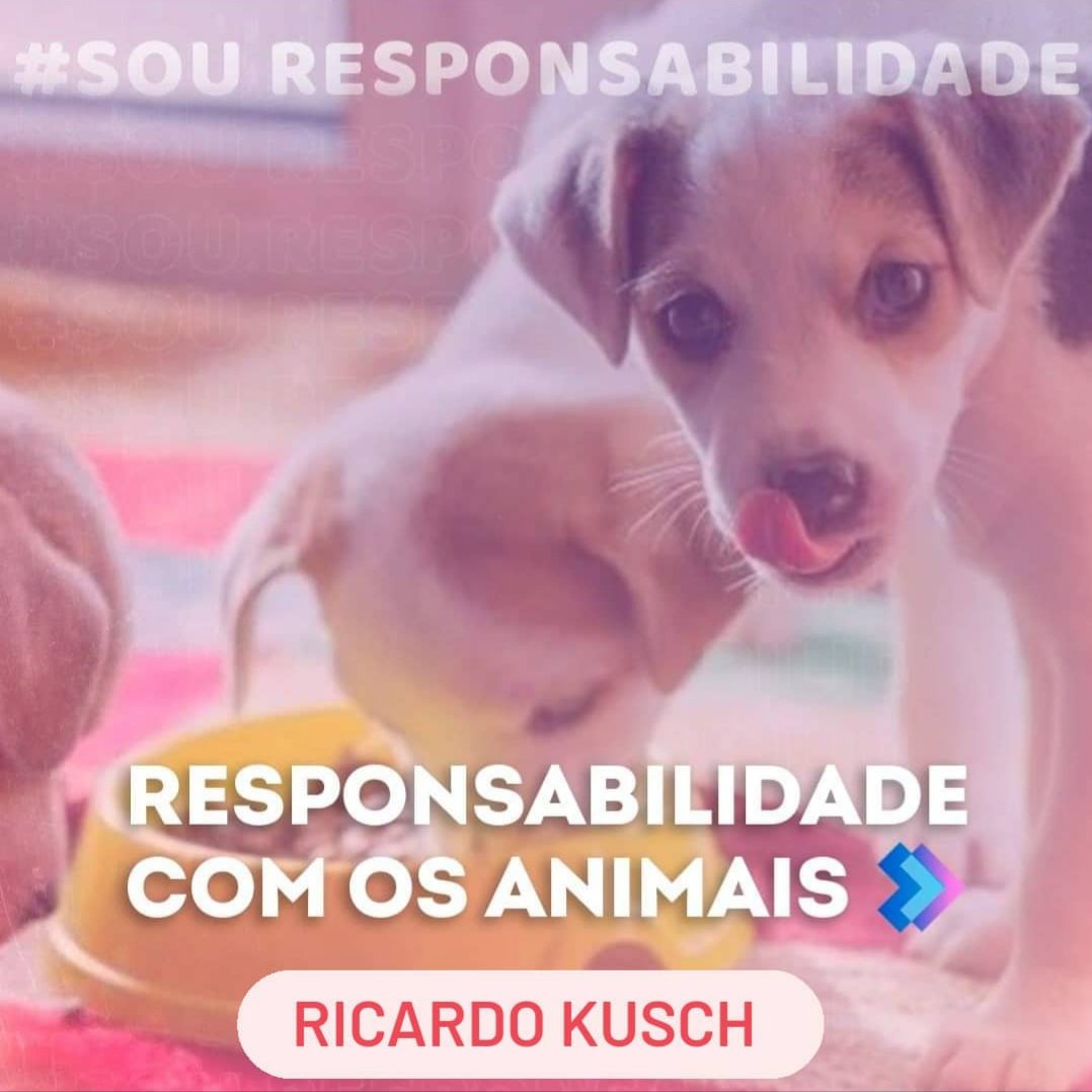 RicardoKusch's tweet photo. https://t.co/98x5rahGk5