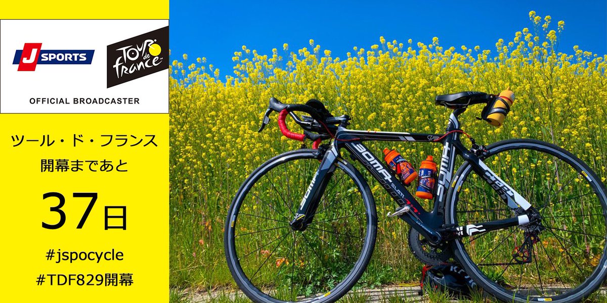J Sportsサイクルロードレース 公式 世界選手権9 19 26 ツール開幕まであと37日 本日は Ko Zo Uさんの愛車が登場 Ttフレームをドロハン化したバイクです ゴール前キロで落車したマキュアン会長がまさかのステージ優勝 そこで飛び出した