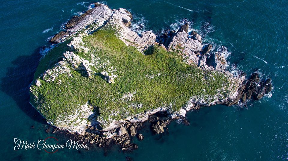 TheTorbayWeekly's tweet photo. Good Morning Torbay

A VERY different view of Thatcher’s Rock in ‘Our Naturally Inspiring Bay’ this morning and a fabulous image from @markchampmedia who can provide a similar promotional angle for your business, property or location.

#Torbay
#NaturallyInspiring https://t.co/PE5BLpWhLR