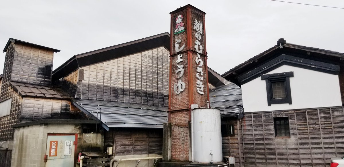 ザージャン麺 まさ吉 越のむらさき醤油らーめん工場見学編 絞りたての醤油 が本当に香り豊かで美味しくて感動しました 食して感動する事はなかなかない事です この風味の醤油が欲しいと社長 工場長に哀願したのですが検討中とのこと この風味が欲しい