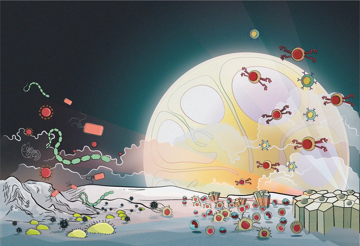 Hatoon_Bkeerah's tweet image. I call this "Cell Wars"
Took me a loooong time to get this done 😁 but vector by vector here it is!
Tell me what cell types/tissue structures do you see?
#sciart #immunology #Illustrator #scienceart