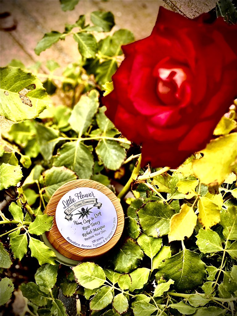 LittleFlowerHe1's tweet photo. #stopandsmelltheroses #treatyourself and your #skin to this #tightening #whitening #antiaging #omegas filled #wholeplanthempextract #infused #cbd #CBG #rehabmasque #masque #hempheals #highendskincare #skincare #cbdskincare #facemasque #beauty #skinhealth #cbdhealth #hempproducts https://t.co/XRzFF7uFI4