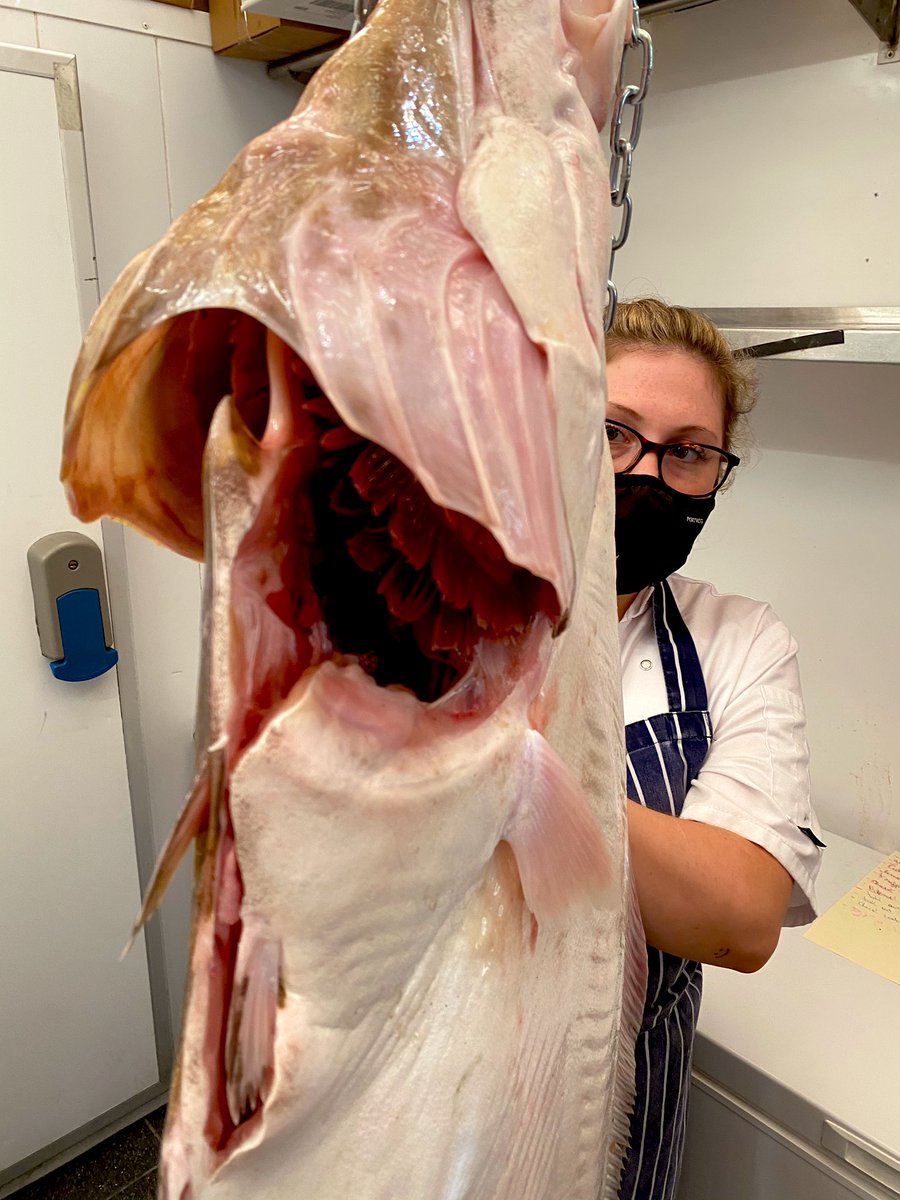 GazSmith_Chef's tweet photo. We are back and we are not fucking around ! 

I’ve had enough of doubting/ fretting what’s coming 
Just gonna keep buying the biggest, freshest and best seafood we can lay our mitts on 

Que sera sera 🎶 ....... https://t.co/vbKcALfty6