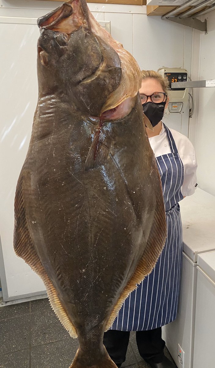 GazSmith_Chef's tweet photo. We are back and we are not fucking around ! 

I’ve had enough of doubting/ fretting what’s coming 
Just gonna keep buying the biggest, freshest and best seafood we can lay our mitts on 

Que sera sera 🎶 ....... https://t.co/vbKcALfty6