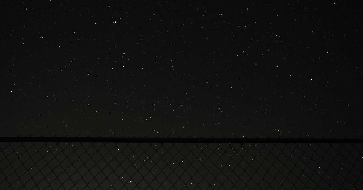 ethannestor's tweet image. I like taking pictures