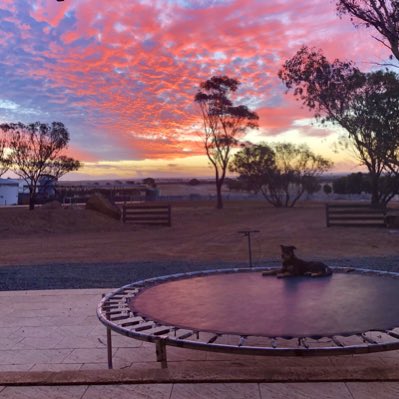 SavGab's tweet image. #NewProfilePic