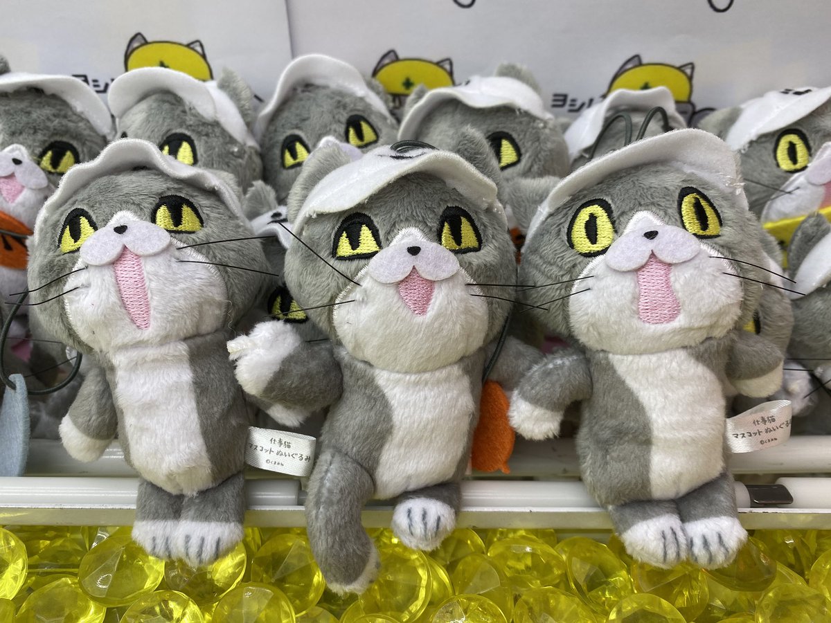 タイトーステーション所沢店 プライズ 本日入荷 仕事猫 Bigぬいぐるみとマスコットが登場です 仕事猫 現場猫 タイトー所沢 タイトーステーション所沢店 プライズ 本日入荷 仕事猫 Bigぬいぐるみとマスコットが登場です 仕事猫 現場猫 タイトー所沢