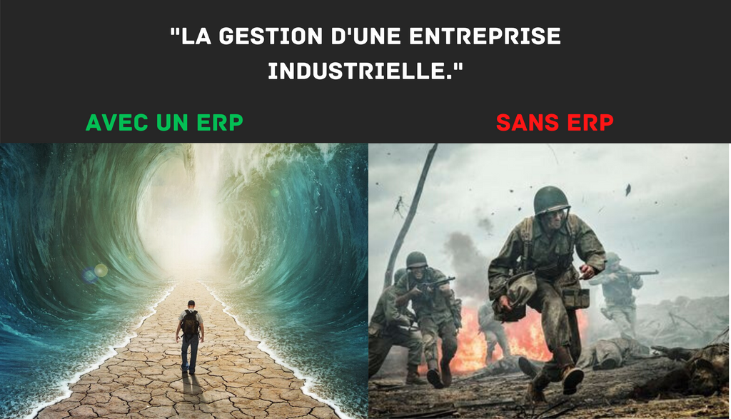 1LIFE ERP tweet media