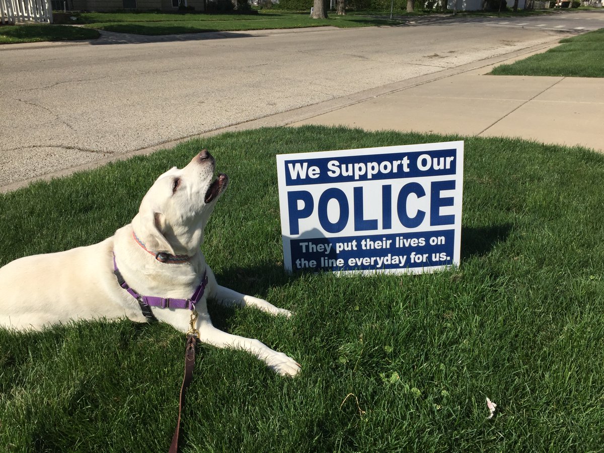 USHouse2022's tweet photo. @totally4real @totally4real is a #LeftistRacistWhoHatesAmerica
Dear #IL02 #IL03 #IL06 #IL14 #IL15 Voters,
#LiberalsAreNOTOurProblem
#TheLEFT is #AmericasProblem💯
#TimeToVoteRepublican2020
#PresidentTrump🇺🇸 will #MakeAmericaGreatAgain
#SupportOurPolice
#SupportOurPresident
#DoctorY🇺🇸 https://t.co/w0rijaDkYc