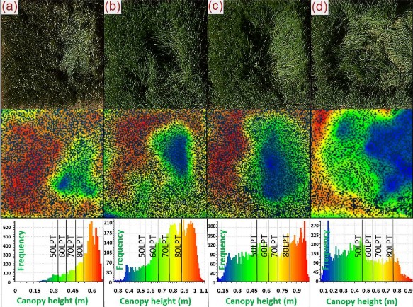 RemoteSens_MDPI's tweet photo. #RSHighlyCitedPaper
Quantifying #Lodging Percentage and Lodging Severity Using a #UAV-Based #Canopy Height Model Combined with an Objective Threshold Approach
By Norman Wilke, Bastian Siegmann, et al.
👉https://t.co/3O8bd2r54v
#PrecisionAgriculture
#remotesensing
#GroundModel https://t.co/jJNOvjQBvY