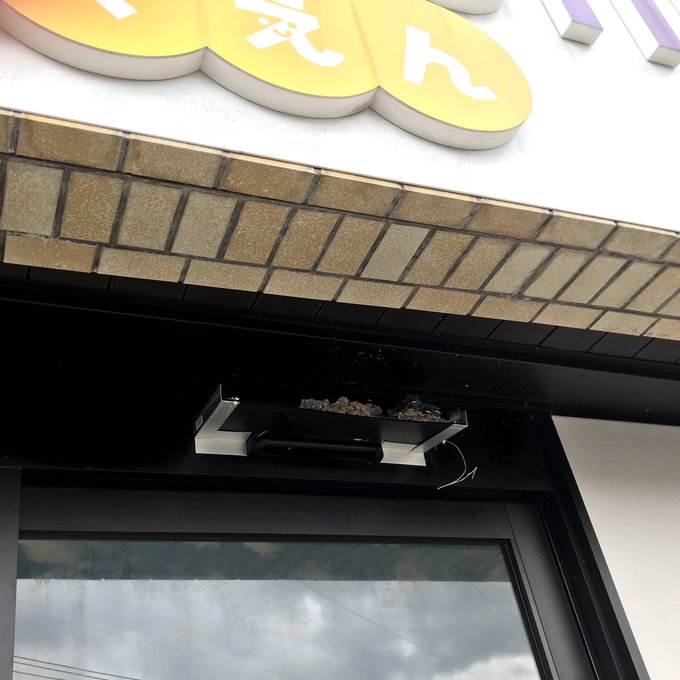 保育 高画質 のtwitterイラスト検索結果