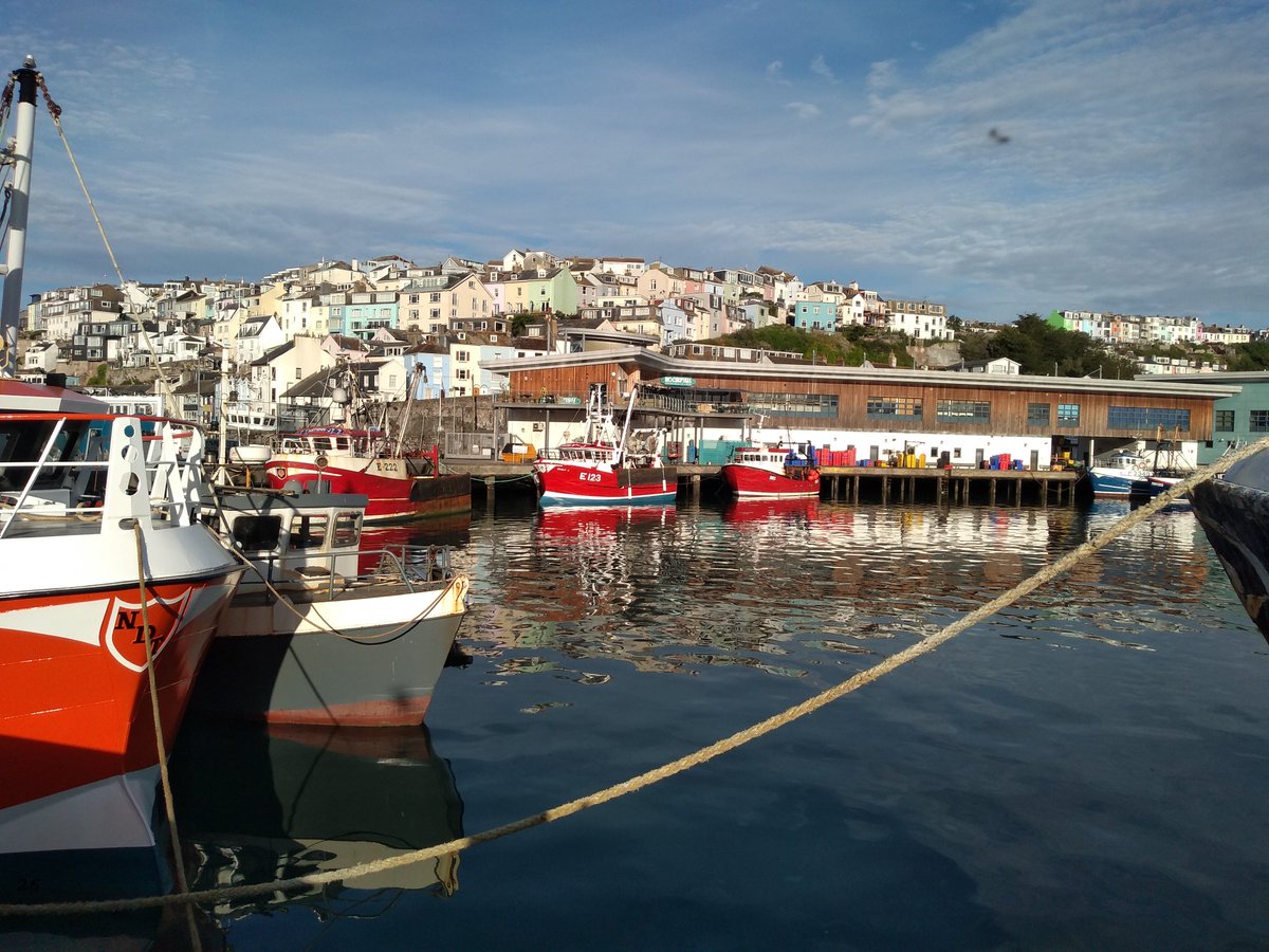 Adrian Clark tweet media