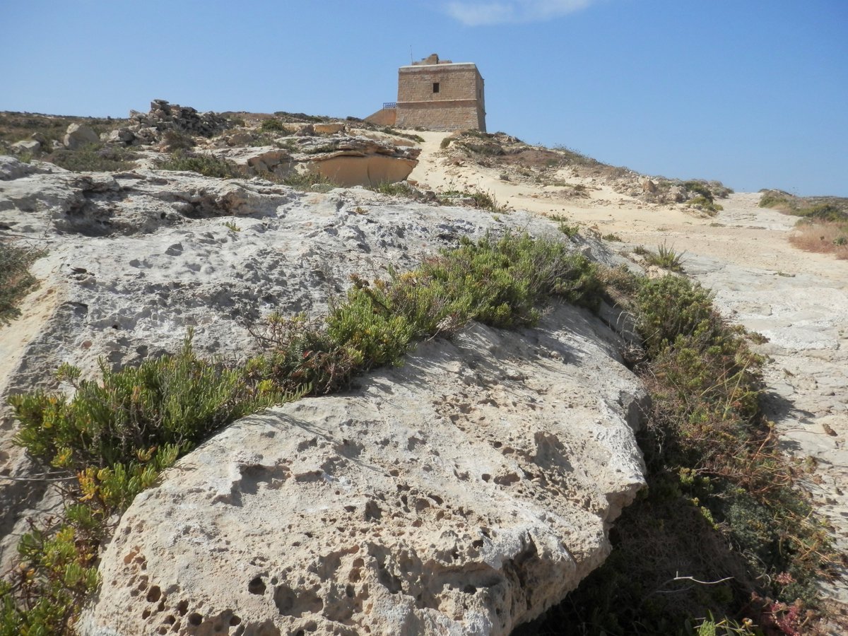 DwejraTower's tweet photo. The start of another hot day.... โ๏ธ๐ Bonฤกu and Good Morning from #Dwejra #Gozo๐#staysafe #virtualvisitor #heritagerestored #natura2000 @DinLArtHelwa @VisitGozo @VisitMalta @GrandSpaGozo @NatureTrustMLT @NoelFormosa @KempiSanLawrenz @a_better_Gozo @maltainpoland @MaltaInFrance https://t.co/dUCM25JKkY