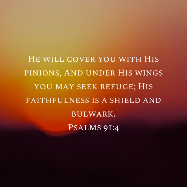 bible.com/100/psa.91.4.n…