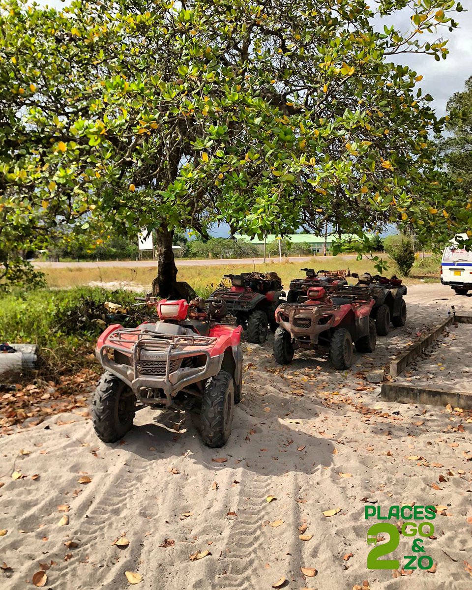 Places2G's tweet photo. #ohhappyday oh #happy #dayy! What a #wonderfulday! If this is your day you have to make #thebest of it.
-
#Places2go #Suriname, A #Mindblowing #Adventure!
-
#treesurgeon #motor #landscape #nature #hondaatv #adventuretime #atv #atvriders #rideatv #travelphotography #tourism https://t.co/WXflIF9iJy