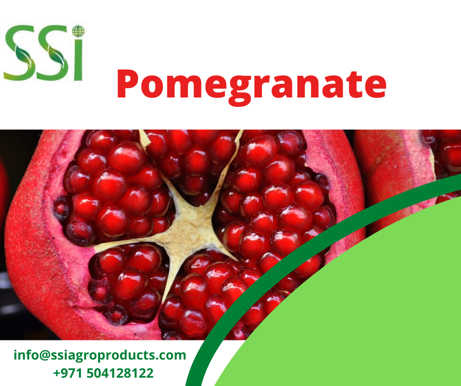 Order from us! Ready to Ship. Pomegranate juice contains higher levels of antioxidants than most other fruit juices.
#SSIAgroProductsUAE #FreshFarmFruit #UAE  #FruitDelivery #DubaiFruitDelivery #Fruits ❤️ #freshfruitsDubai #Pomegranate #fruitfacts #fruitbuyers #fruitexporters