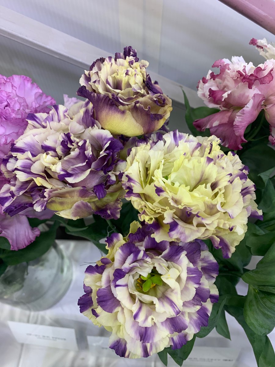 花時間 壁紙 花時間 壁紙
