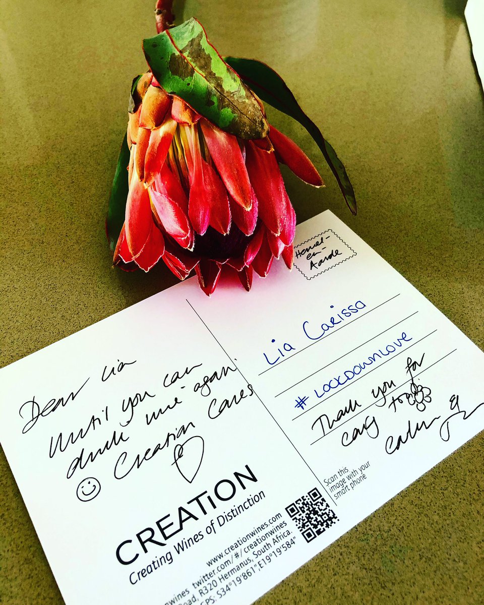 deliciously_lia's tweet photo. It is SUCH a blessing getting to share a journey with all of you @creationwines. 
Innovative &amp; hardworking at each and every single step and your products are out of this world! 
What an amazing Non Alcoholic Tasting Kit treat 🌷😍 
Unboxing vid coming soon! 🥳#CreationCares https://t.co/YJelGxiAKE