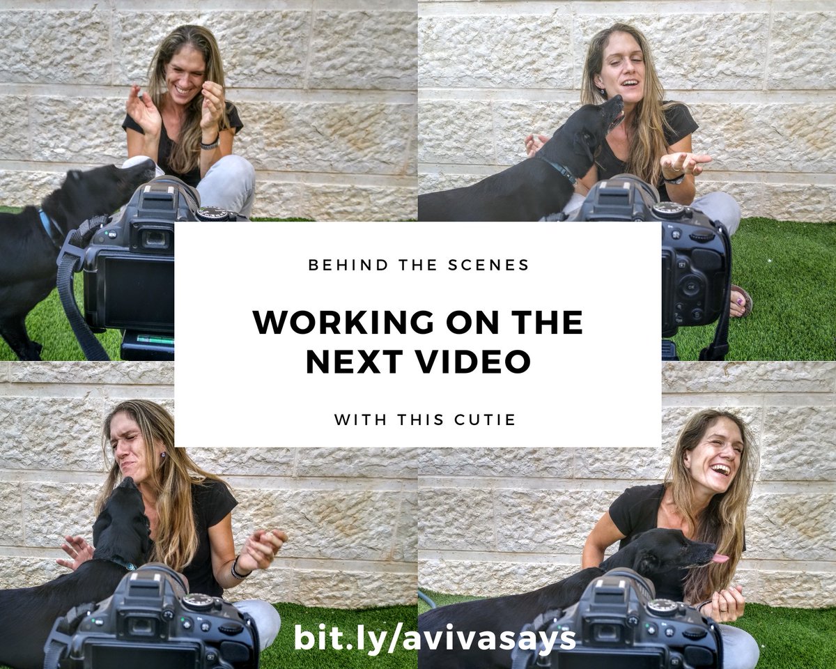 aviva_says's tweet image. Working with animals can be both fun and frustrating. Today was definitely more fun. 

#avivasays #animals #pets #dog #vlogger #vloggerlife #camera #nikon #tripod #fortheloveofpet @ilovepep @petconofficial @petsmart  @TheEllenShow @AnimalPlanet @petco @NikonUSA