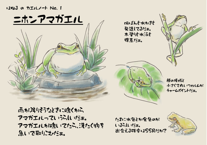 はねるのカエルノートのtwitterイラスト検索結果 はねるのカエルノートのtwitterイラスト検索結果