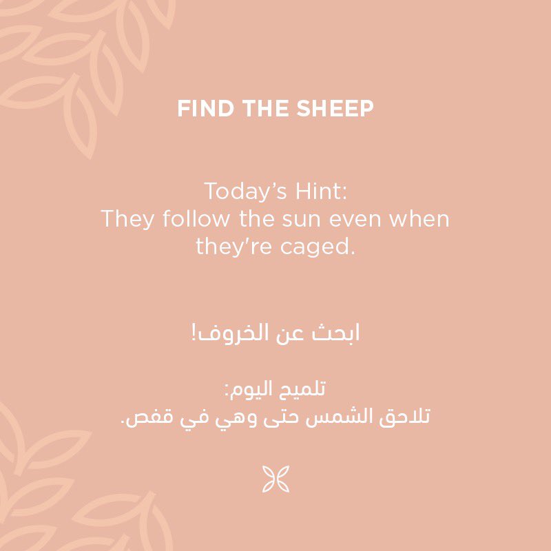 flowardCo's tweet photo. رحلة البحث عن 🐑 اليوم بدأت #ابحث_عن_الخروف #findthesheep 🥁 https://t.co/VEMwl1HMSo
