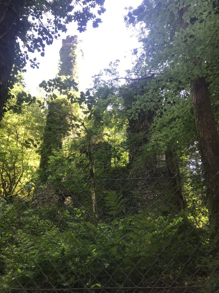 Lovely walk yesterday at Cardinham Woods. Recommend a visit to Wheal Glynn mine.