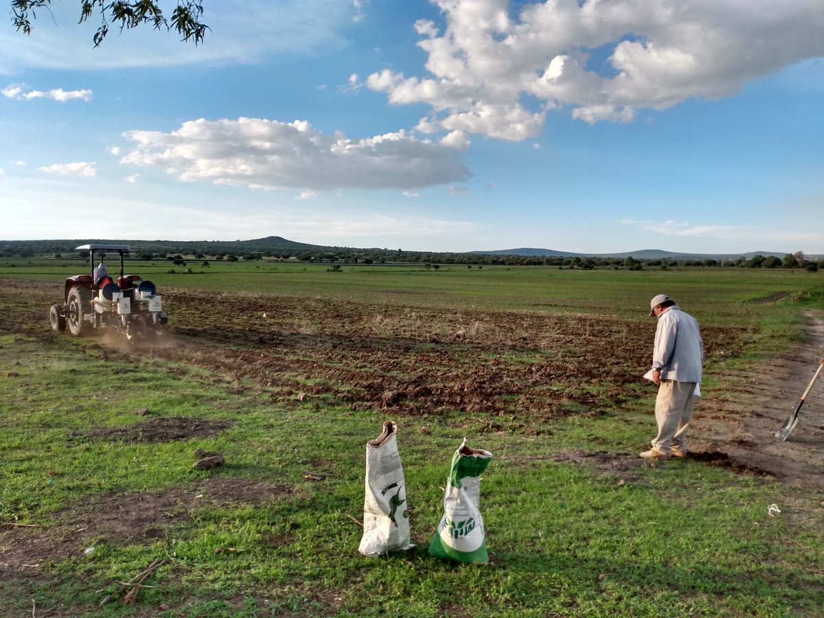 agriequip's tweet photo. @PabloAscanio16 @AgroTuiteros @JAZMendez64 @GustavoENouelB Ser agente de cambio en la Agrícultura es un trabajo arduo y con alto grado de frustración, pero cuando haces recorridos de campo y observas la adopción de tecnologías a través de #UnidadesDeEnsayo, es muy gratificante! Es nuestra modesta propuesta para mejorar los los resultados https://t.co/WG3qviJA5V