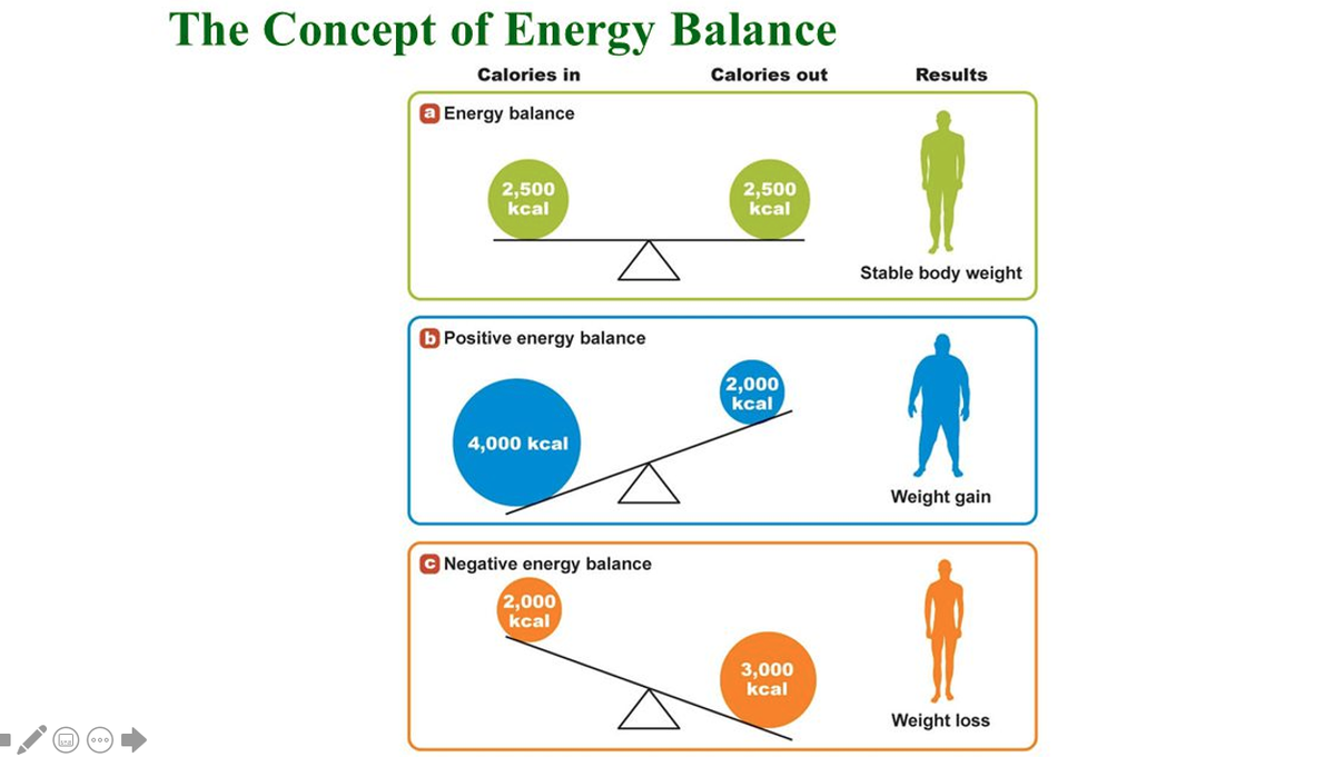 Eating more food than you burn leads to weight gainEating less leads to weight lossThere are numerous ways to cause this to happen in either direction but that’s the basic principle