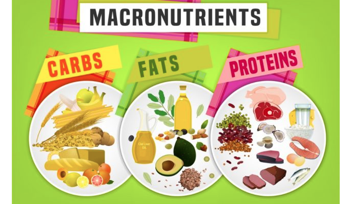 If you’re able to maintain a relatively stable calorie balance then it’s time to concentrate on where the calories come from. ie - Macronutrients and the role they play in performance and health