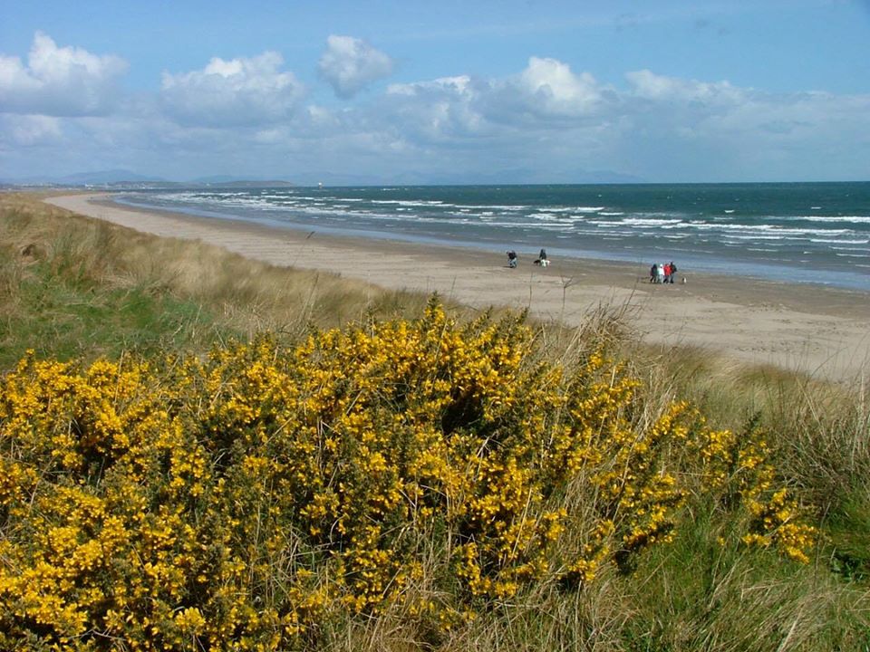 TheCottagesIre's tweet photo. Walking in Ireland is just bliss, a stroll around our Gardens or a hike along the shore, the best of both worlds await you here at The Cottages Ireland.#hiking #walkinginireland #loopwalks #besidethesea #beachholidays #boynevalley https://t.co/2ZQGxx9cmr