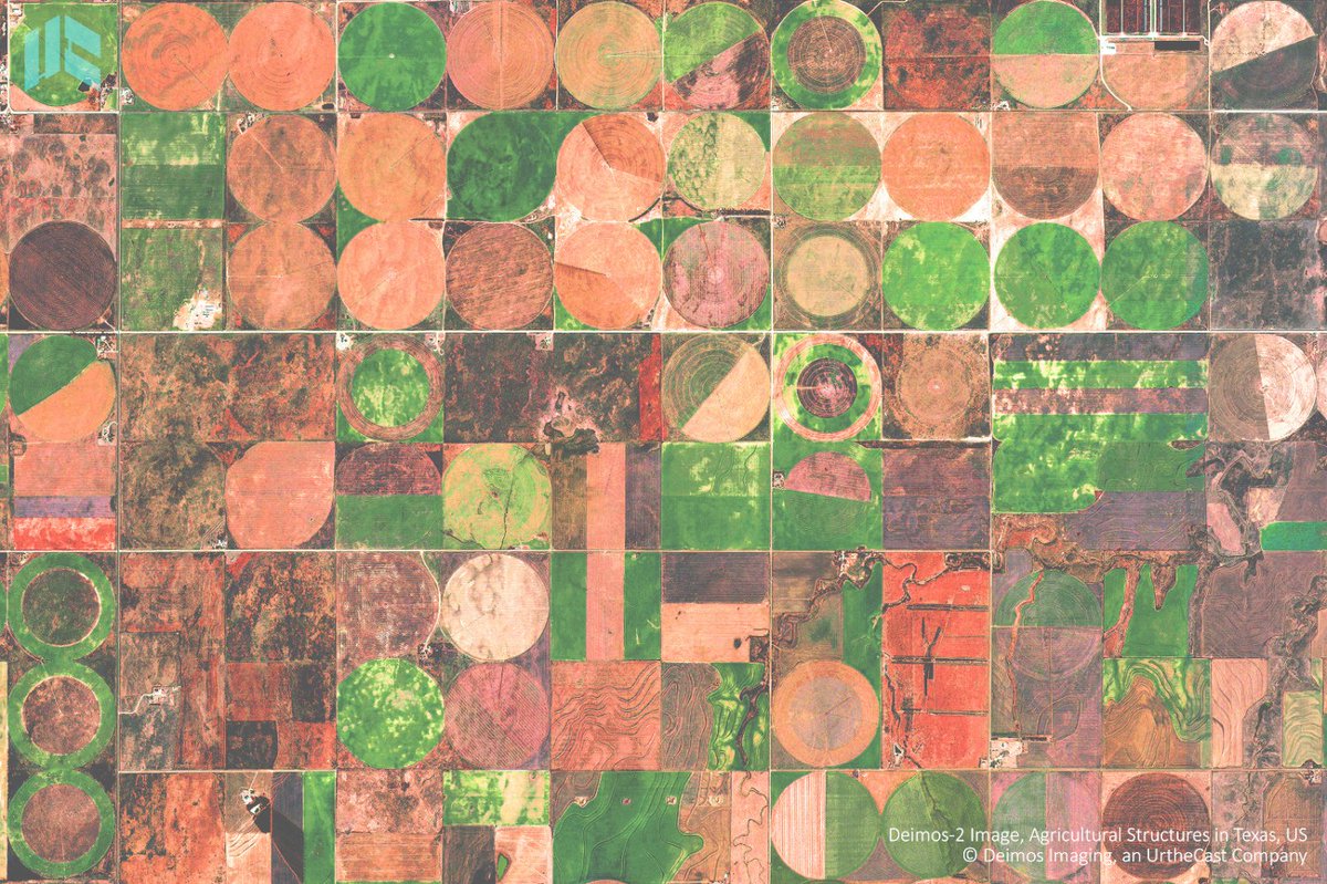 deimosimaging's tweet photo. This #DEIMOS2 image shows agricultural structures in the US state of #Texas, which leads cattle, sheep, goat, cotton and cereal productions. The cropland is divided into circles and rectangles due to the different types of irrigation systems. #PrecisionAgr #RemoteSensing https://t.co/y192k4P7SG