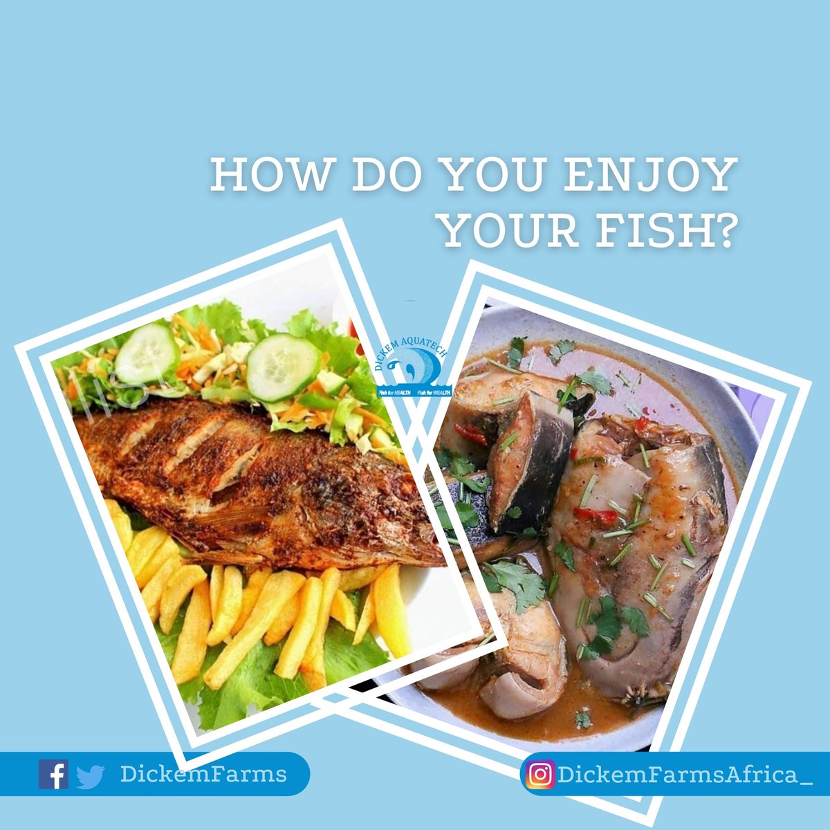 DickemFarms's tweet photo. How do you best enjoy your fish?

GRILLED or SOUP
.
.
.
.
.
#dickemfarmsafrica
#nextlevelagro
#thursdayvibes #foodaholic #foodisbae #madeinlagos #wefarmyouearn #dickemfarms #digipadi https://t.co/81xHoiYZR6