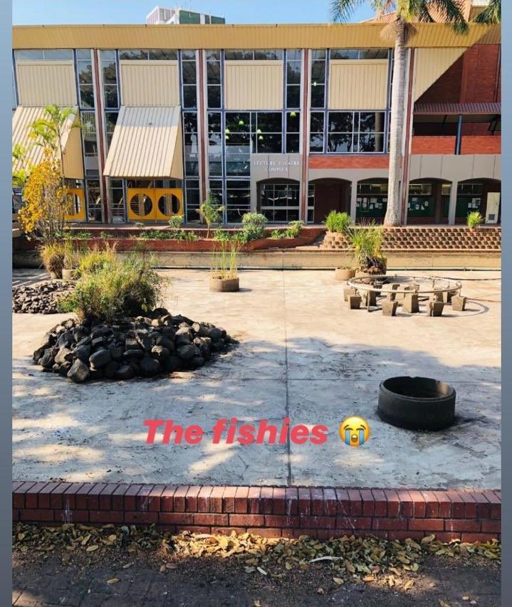 sp4rklejrqueen's tweet photo. WHY DID THEY DO THIS WTFF bring the fish pond thing back 😭😭😭 @UKZN idiots https://t.co/eQEWpQAZ7m