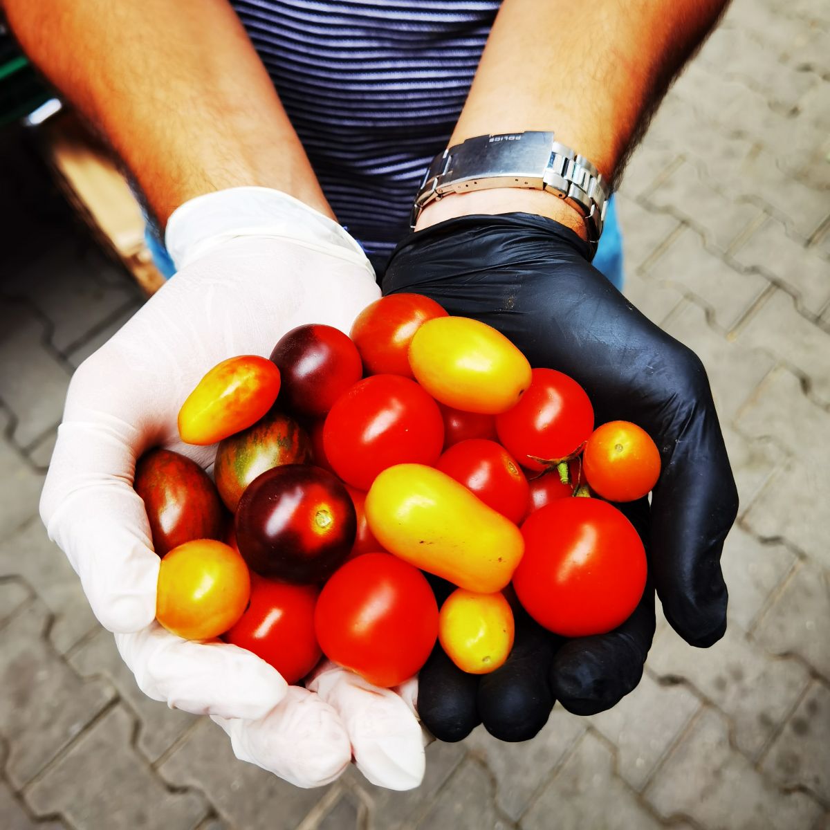 NasulRosu's tweet photo. Comandă produse din Epicerie Nasul Roșu - https://t.co/iuKEKtAD5u https://t.co/hFxBKPs7VK